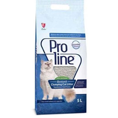 Standart İnce Taneli Topaklanan Bentonit Kedi Kumu